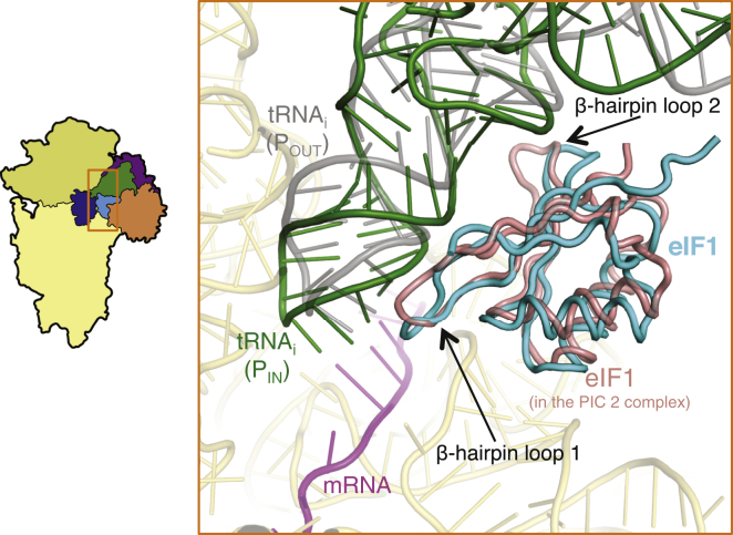 Figure 5