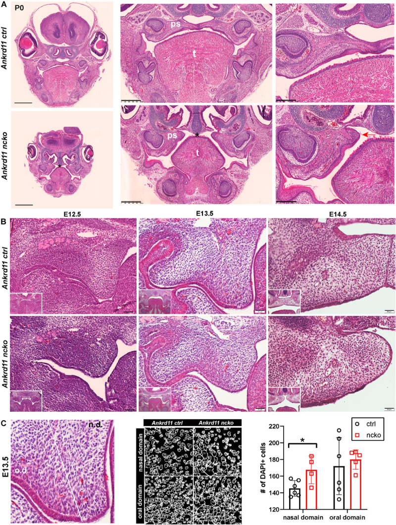 FIGURE 3