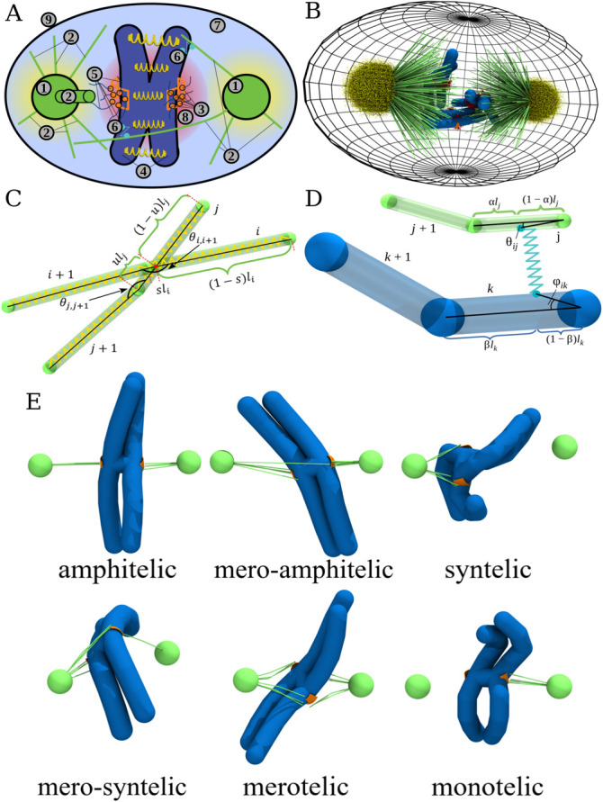 FIGURE 1: