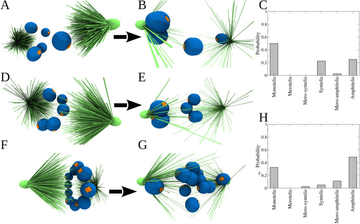 FIGURE 5: