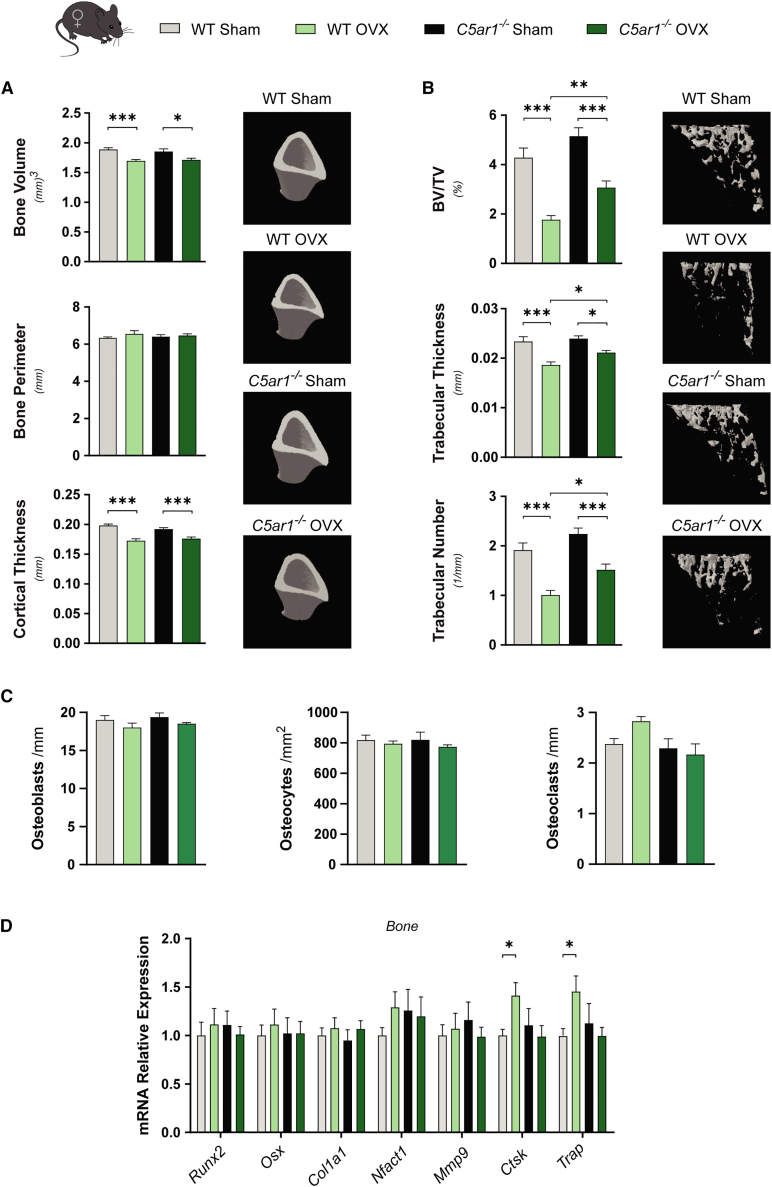 Figure 6