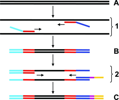 Fig. 1.