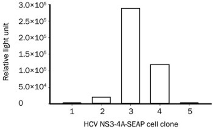 Figure 5