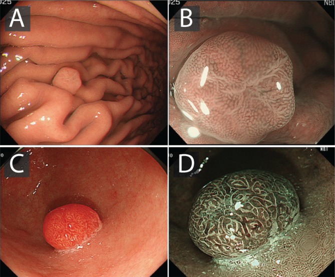 Figure 7