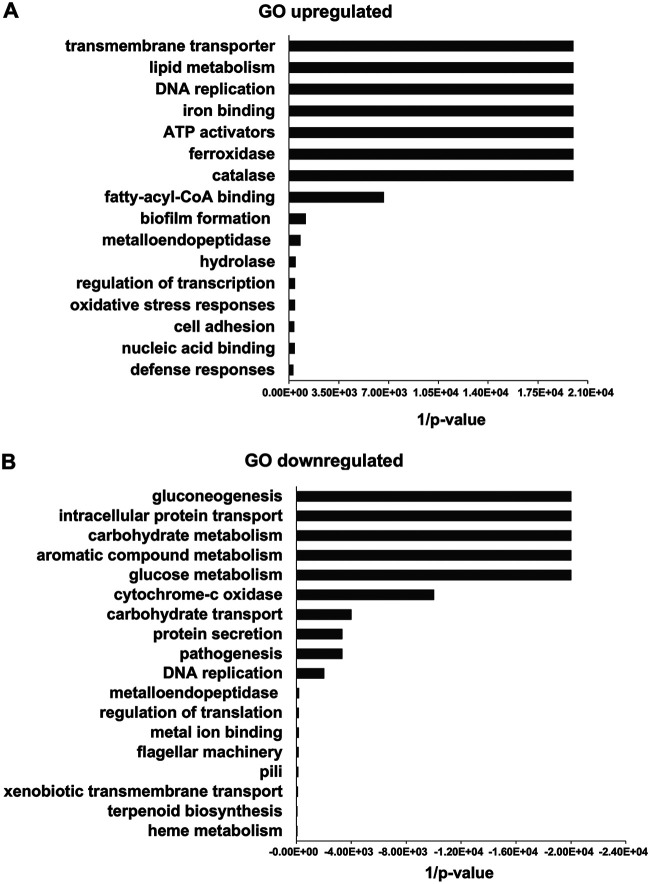 FIG 1