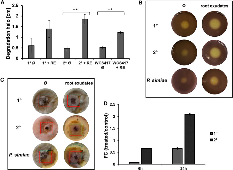 FIG 3