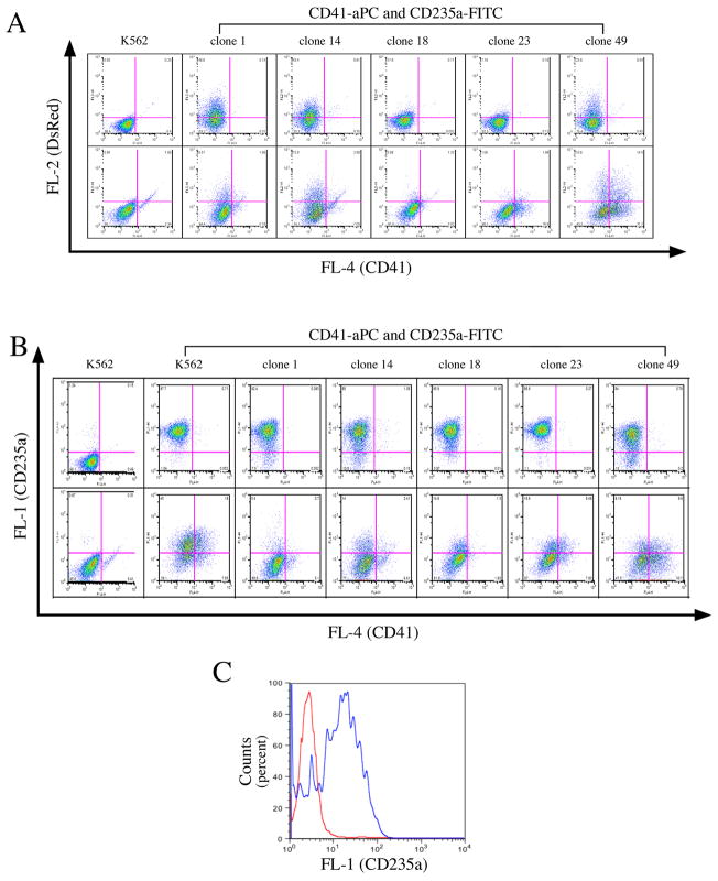 FIGURE 4