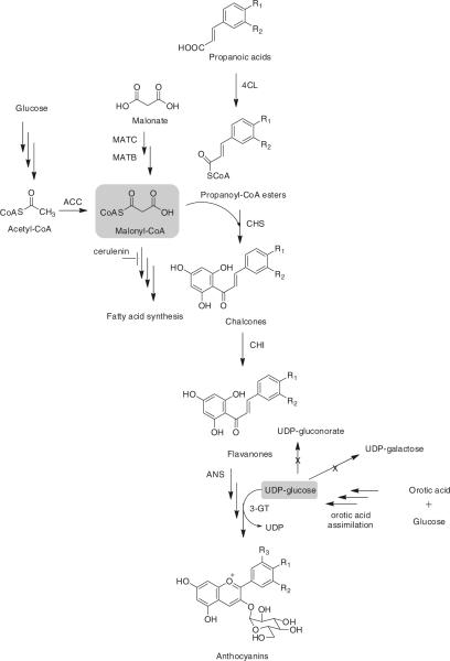 Fig. 3