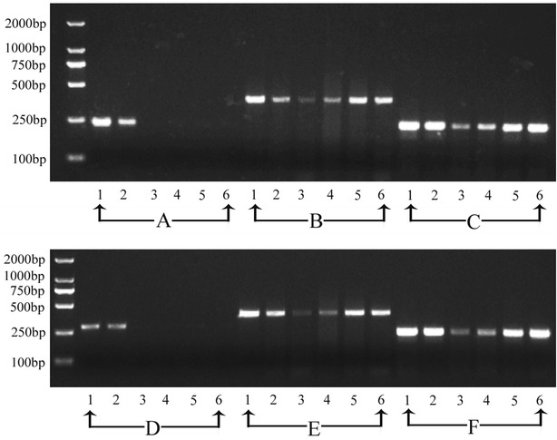 Fig. 4