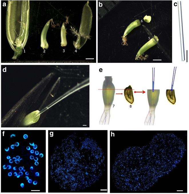 Fig. 2