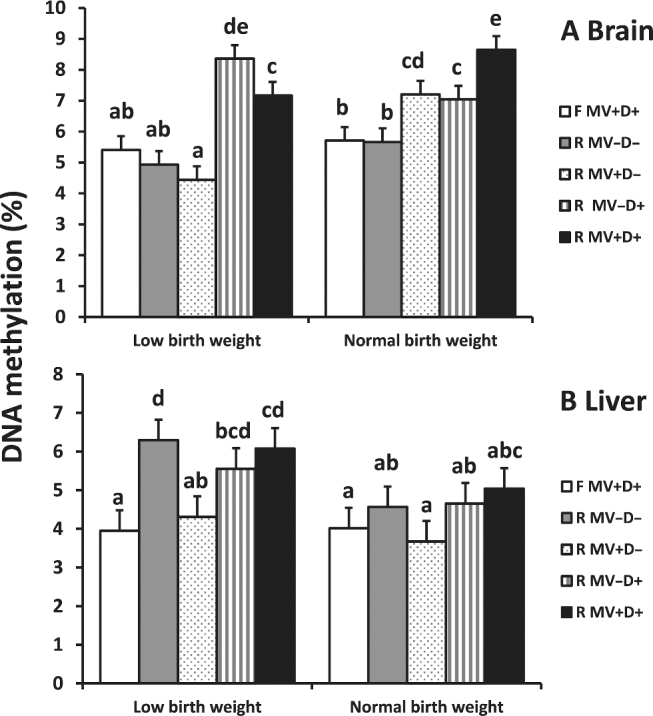 FIGURE 6