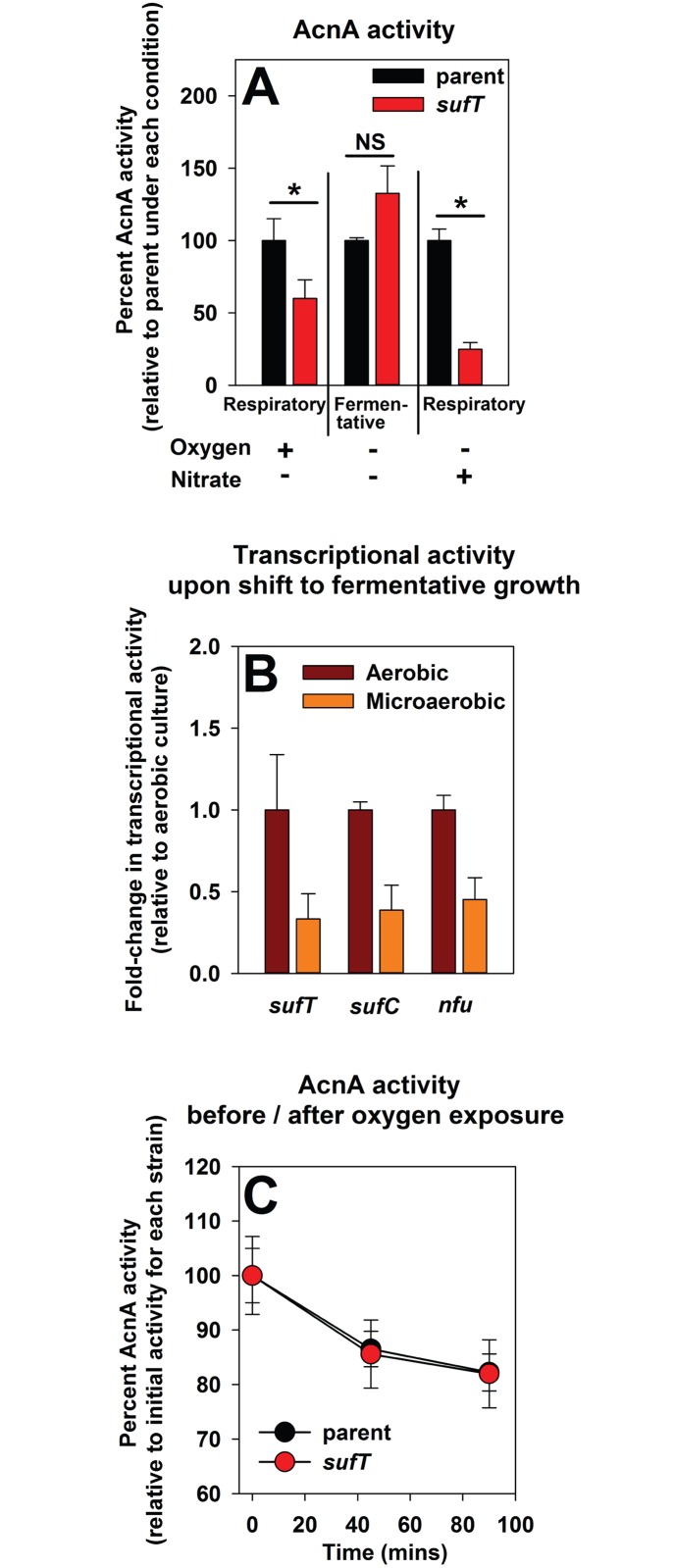 Fig 5