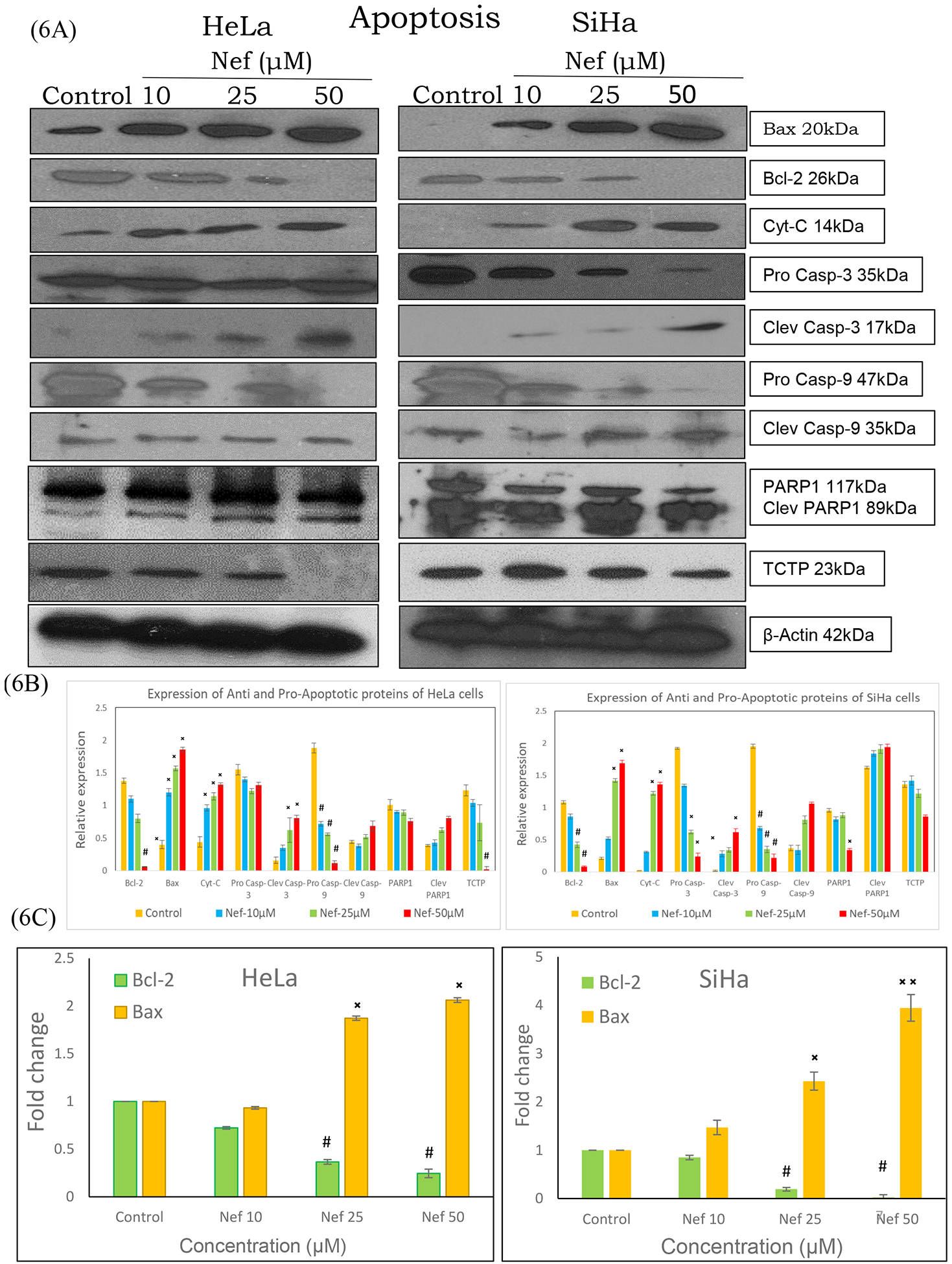 Figure 6: