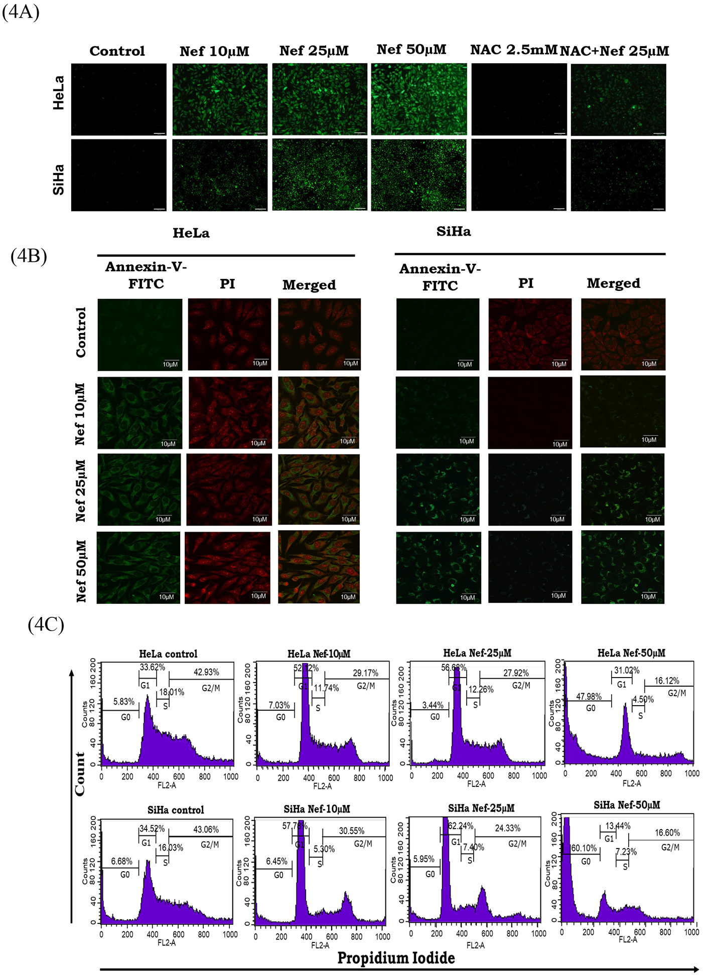 Figure 4: