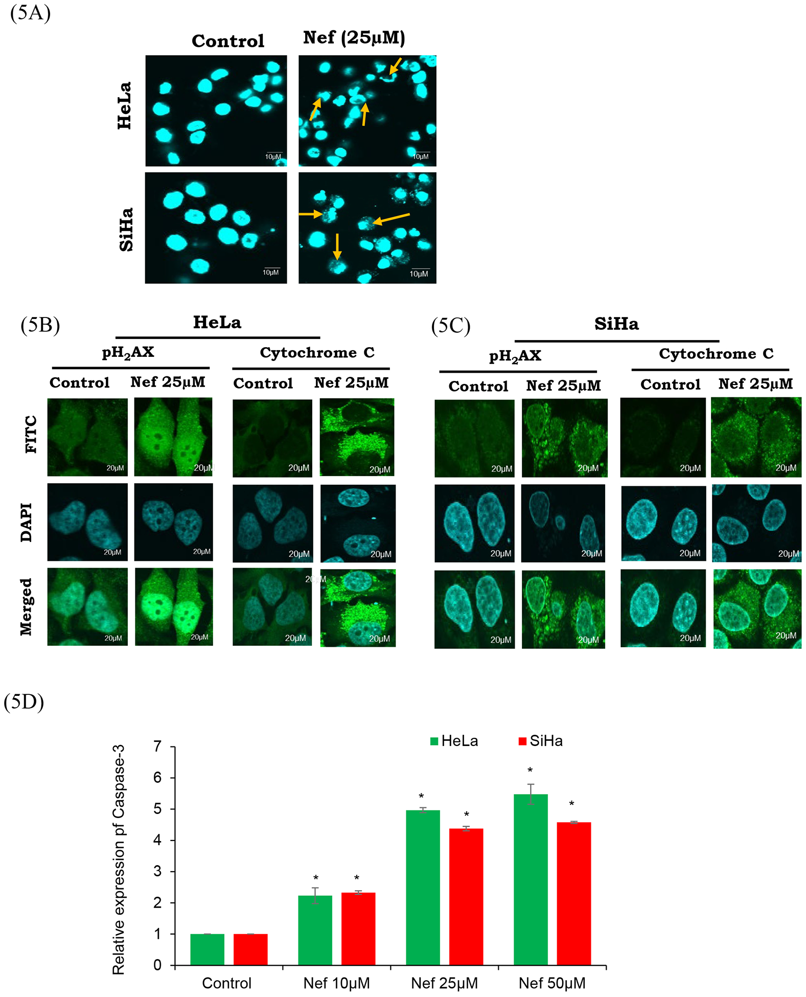 Figure 5: