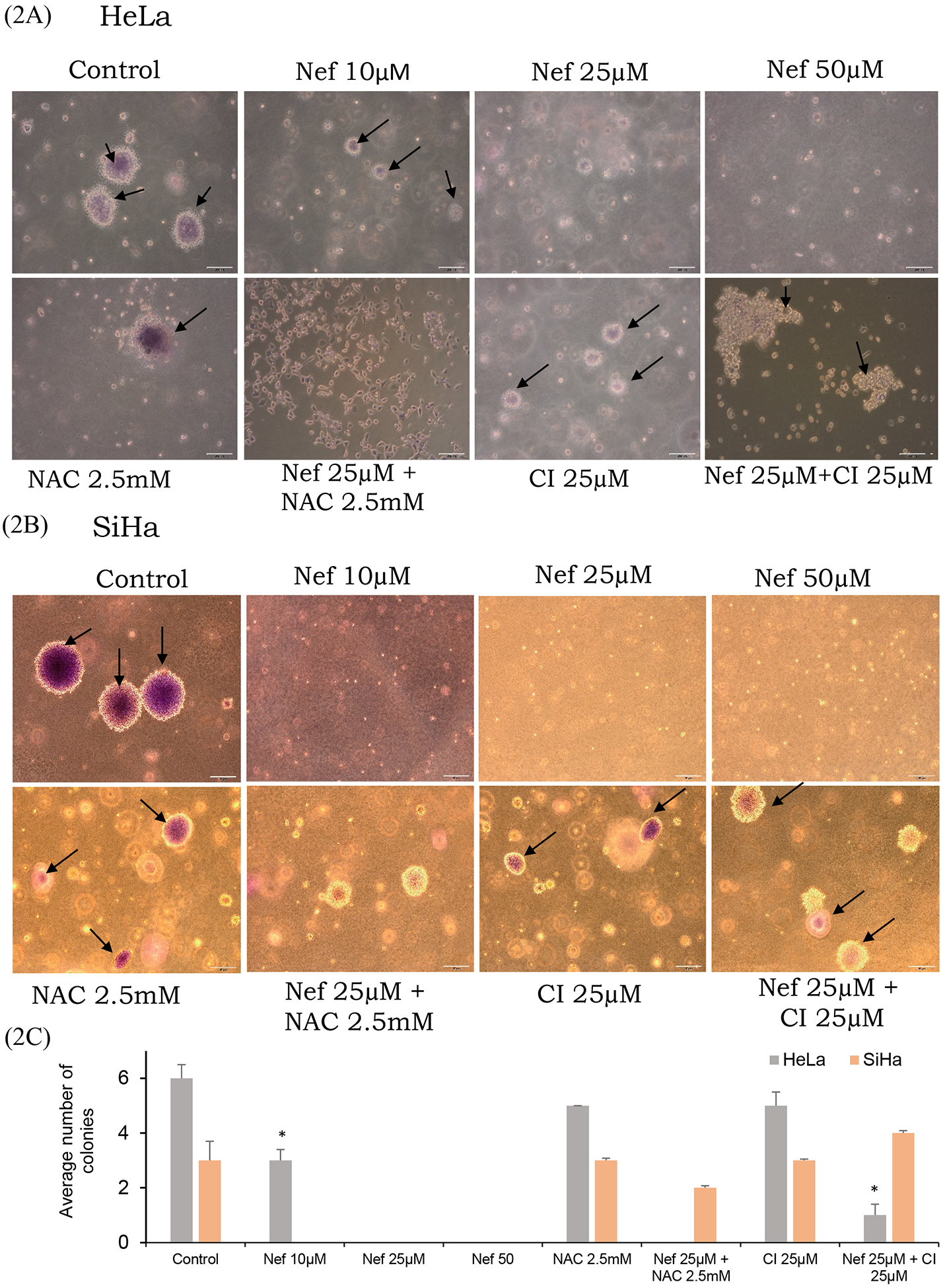 Figure 2: