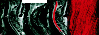 F<sc>ig</sc> 3.