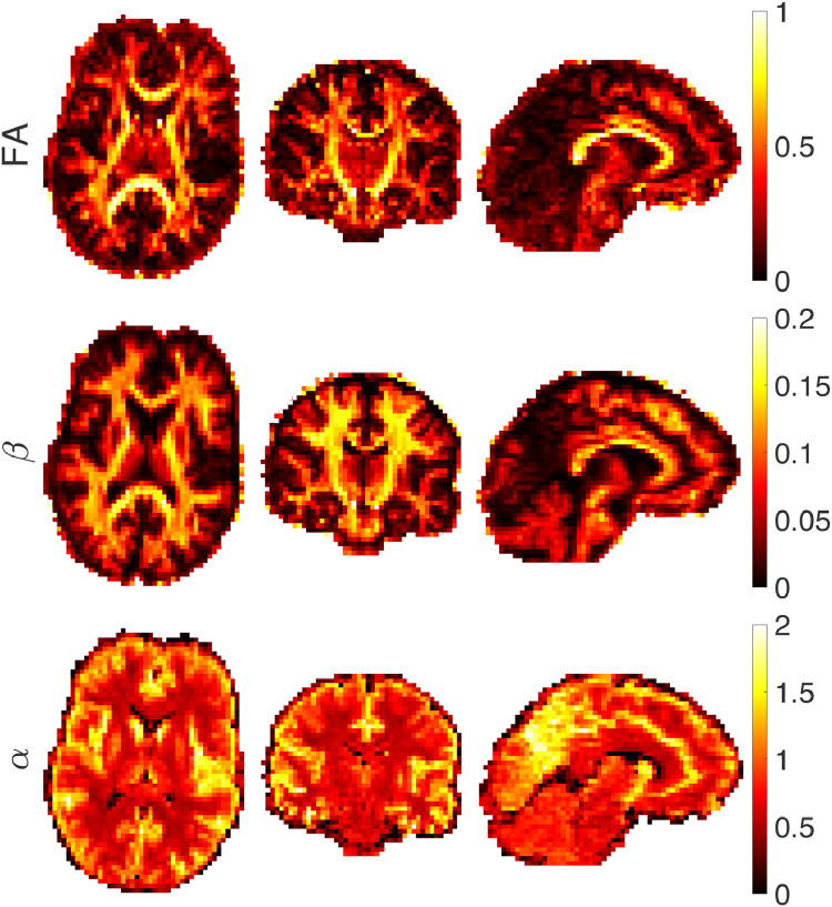 Fig. 10