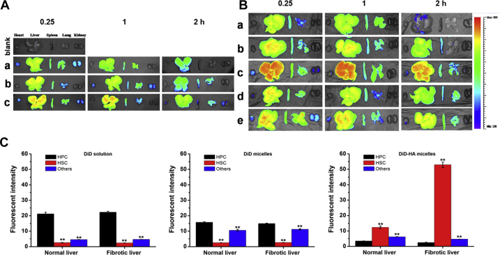 Figure 6