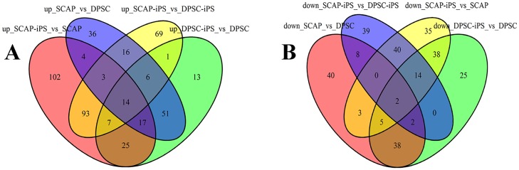 Fig 4