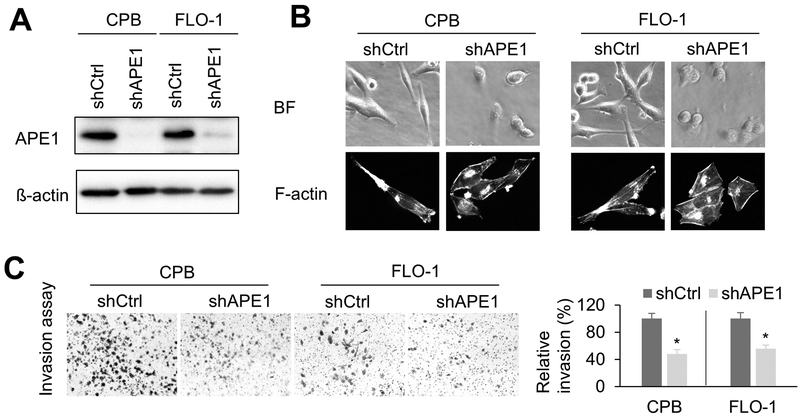 Figure1