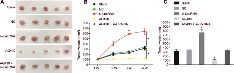 Fig. 11