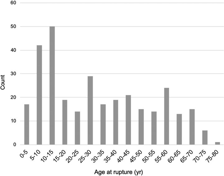 FIG 1.