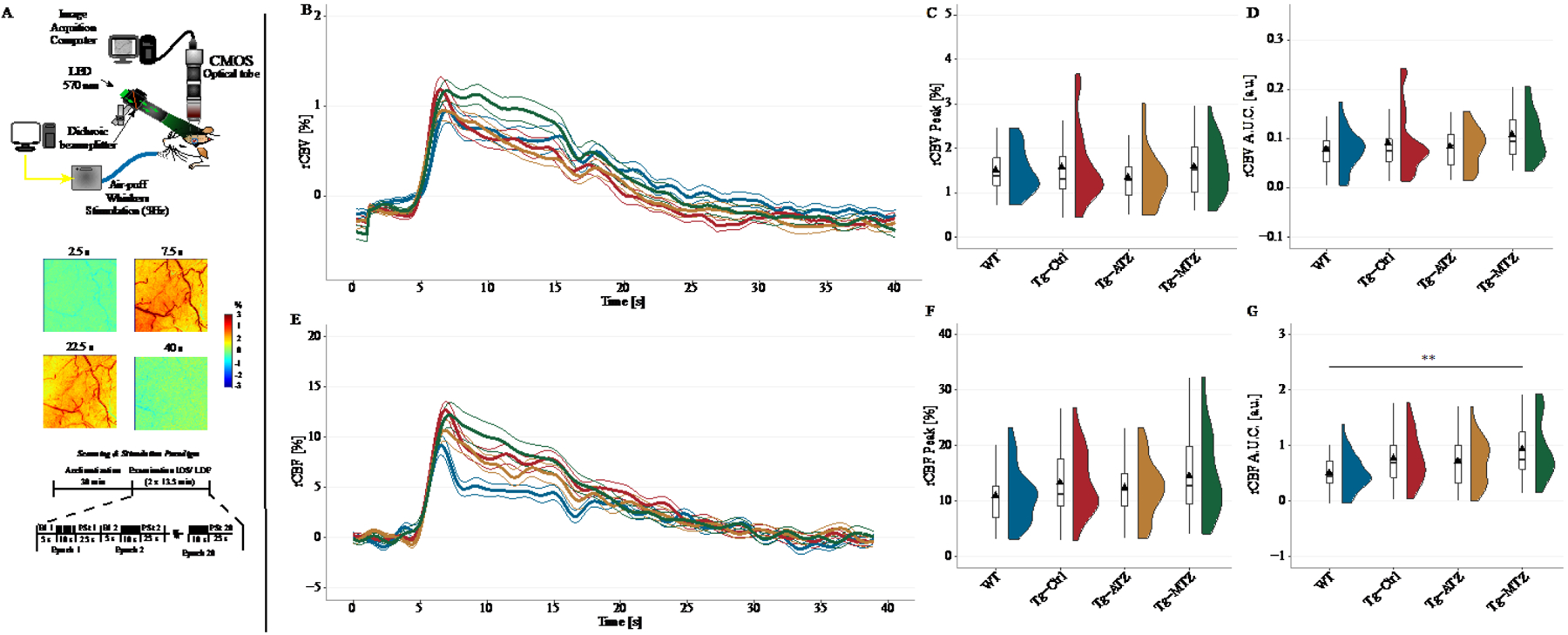 Figure 3: