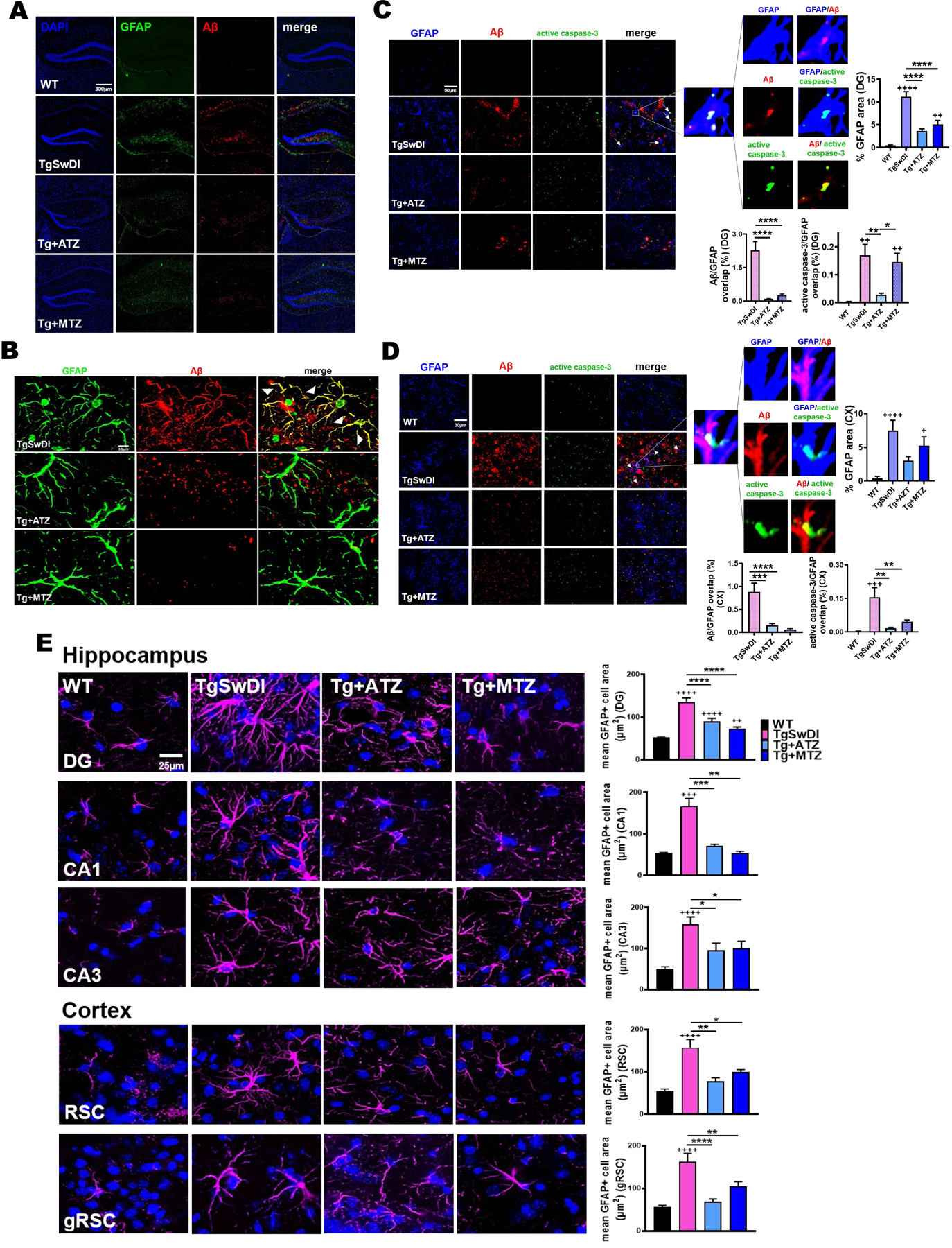 Figure 4: