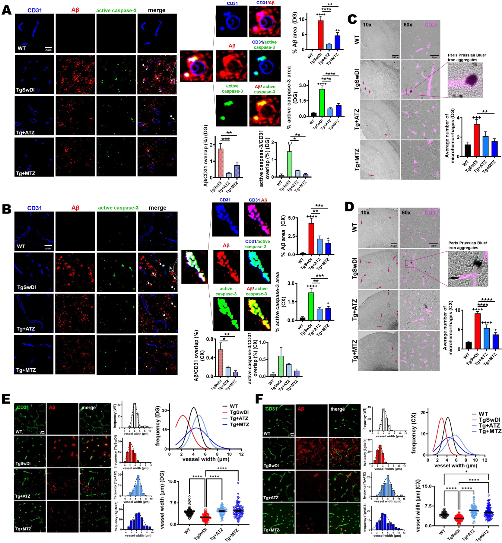 Figure 2: