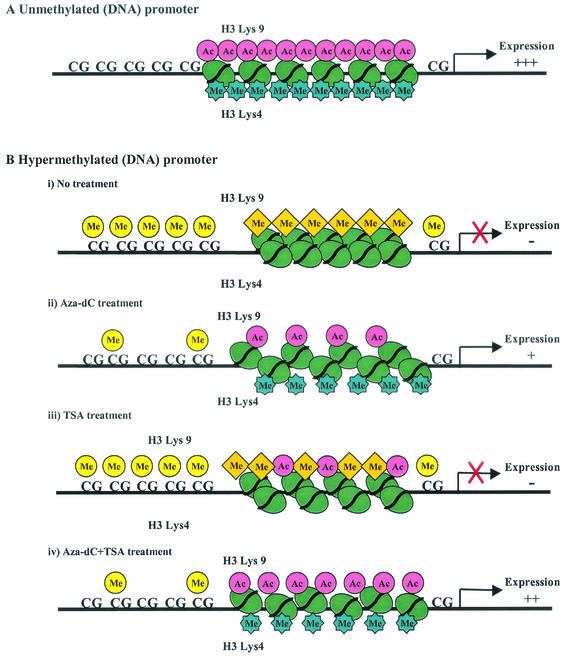 FIG. 7.