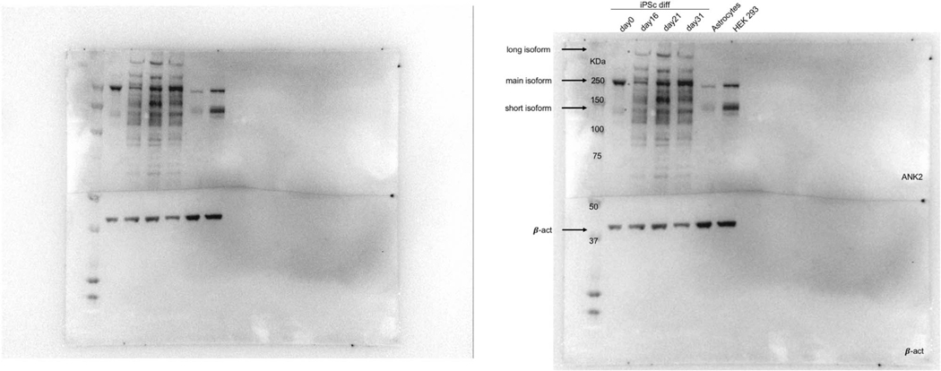 Extended Data Figure 4: