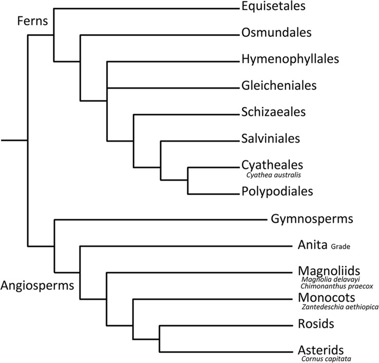 FIGURE 1