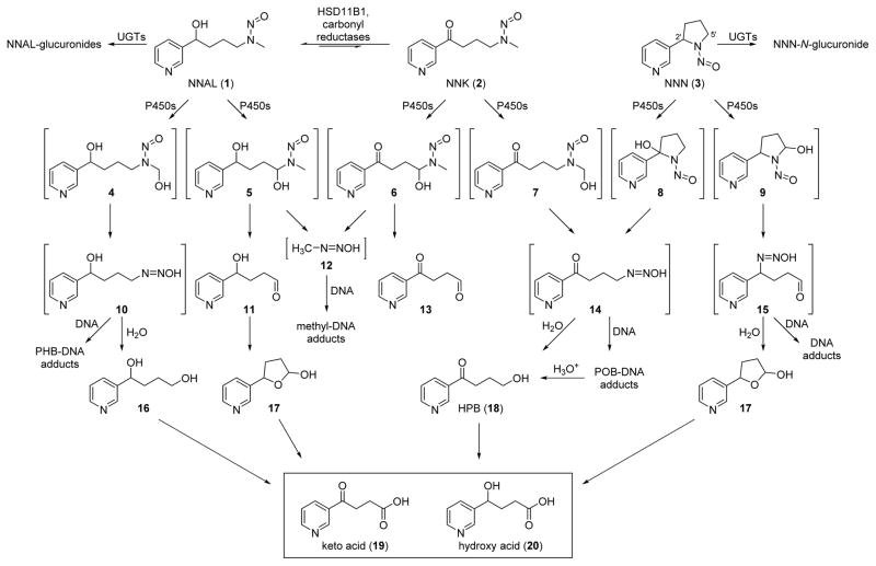 Scheme 1