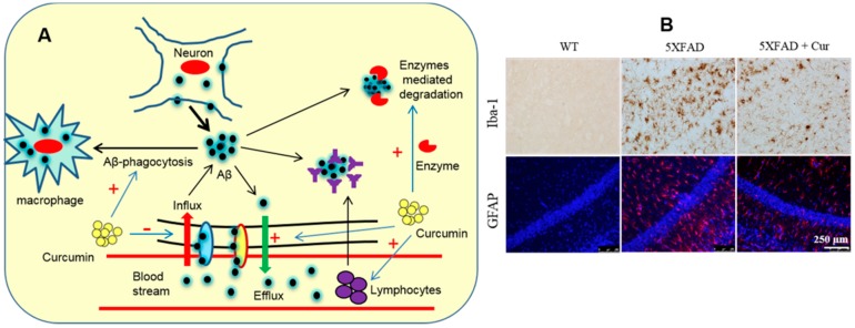 Figure 17