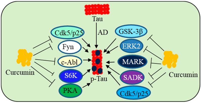 Figure 16