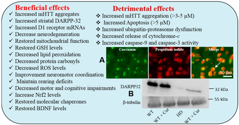 Figure 21