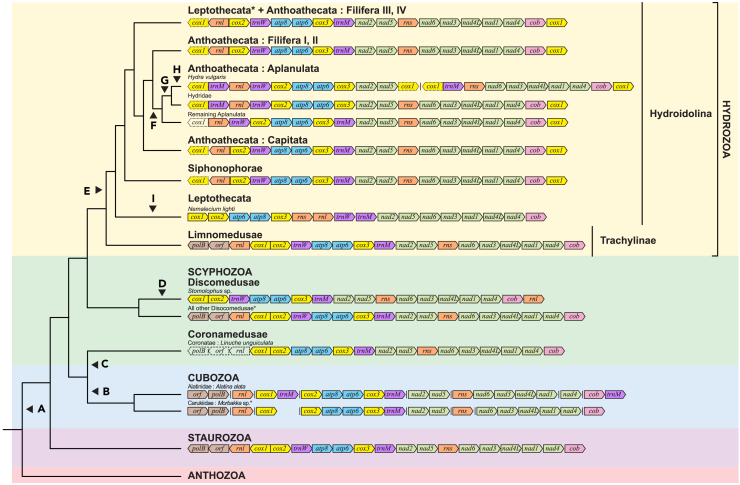 Figure 3