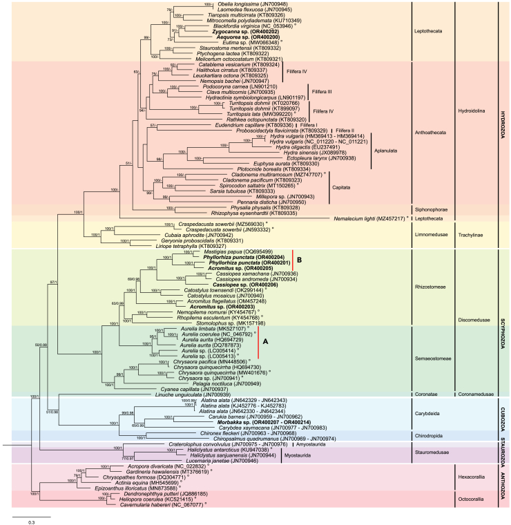 Figure 2