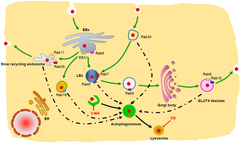 Figure 9