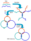 Figure 21