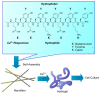 Figure 26