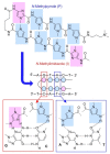 Figure 22