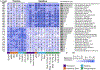 Fig. 6: