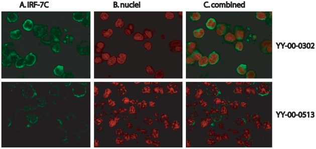 Figure 6