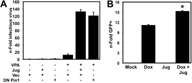 FIG 10