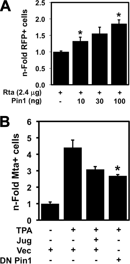 FIG 8