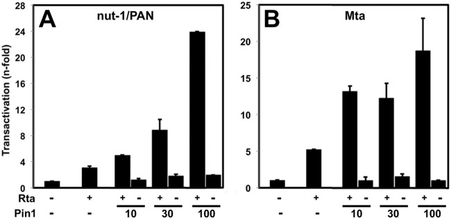 FIG 5