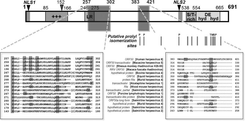 FIG 1