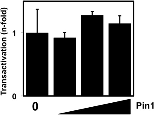 FIG 6